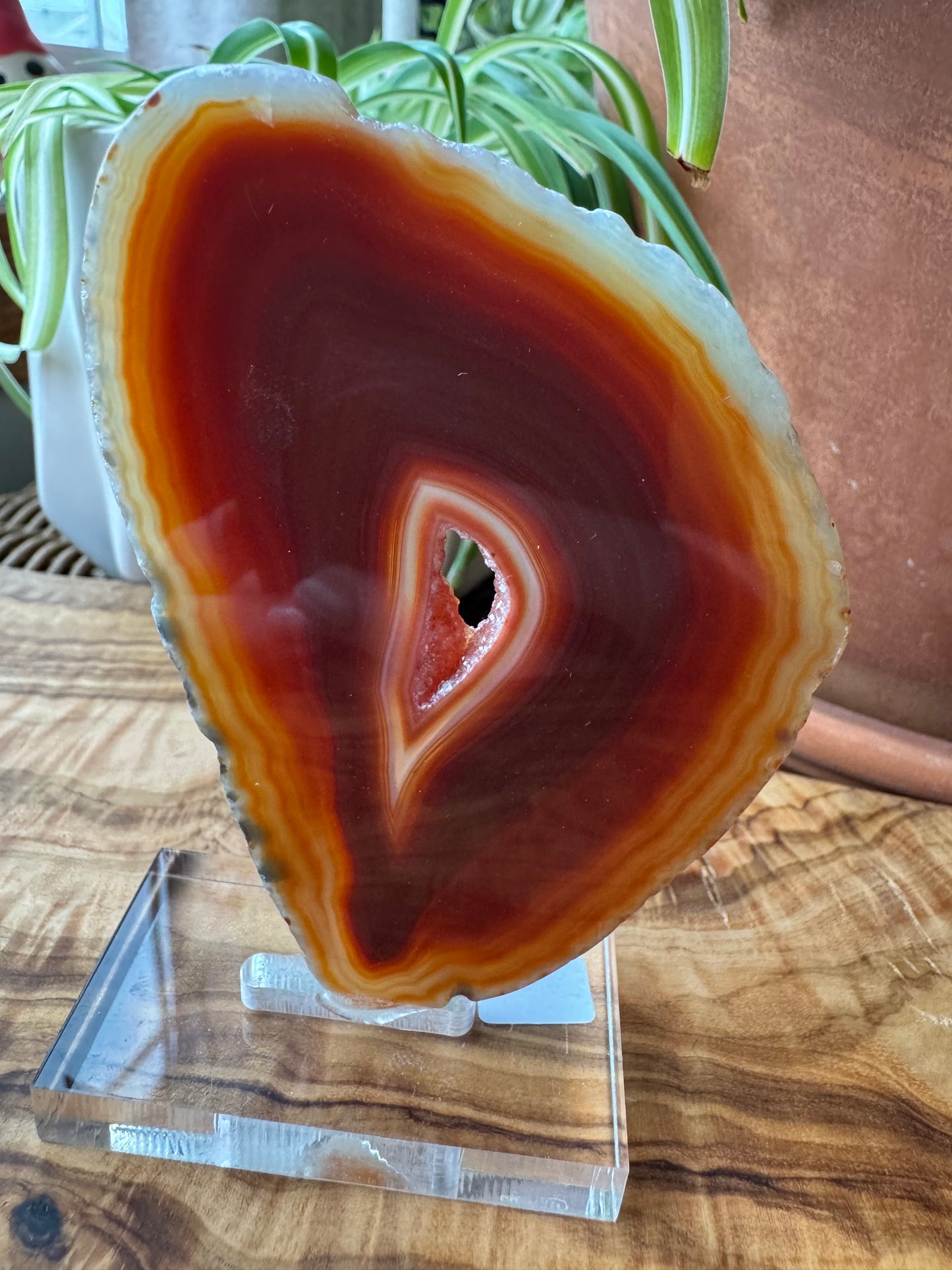 Carnelian Agate Slice — Natural Eye, One of a Kind
