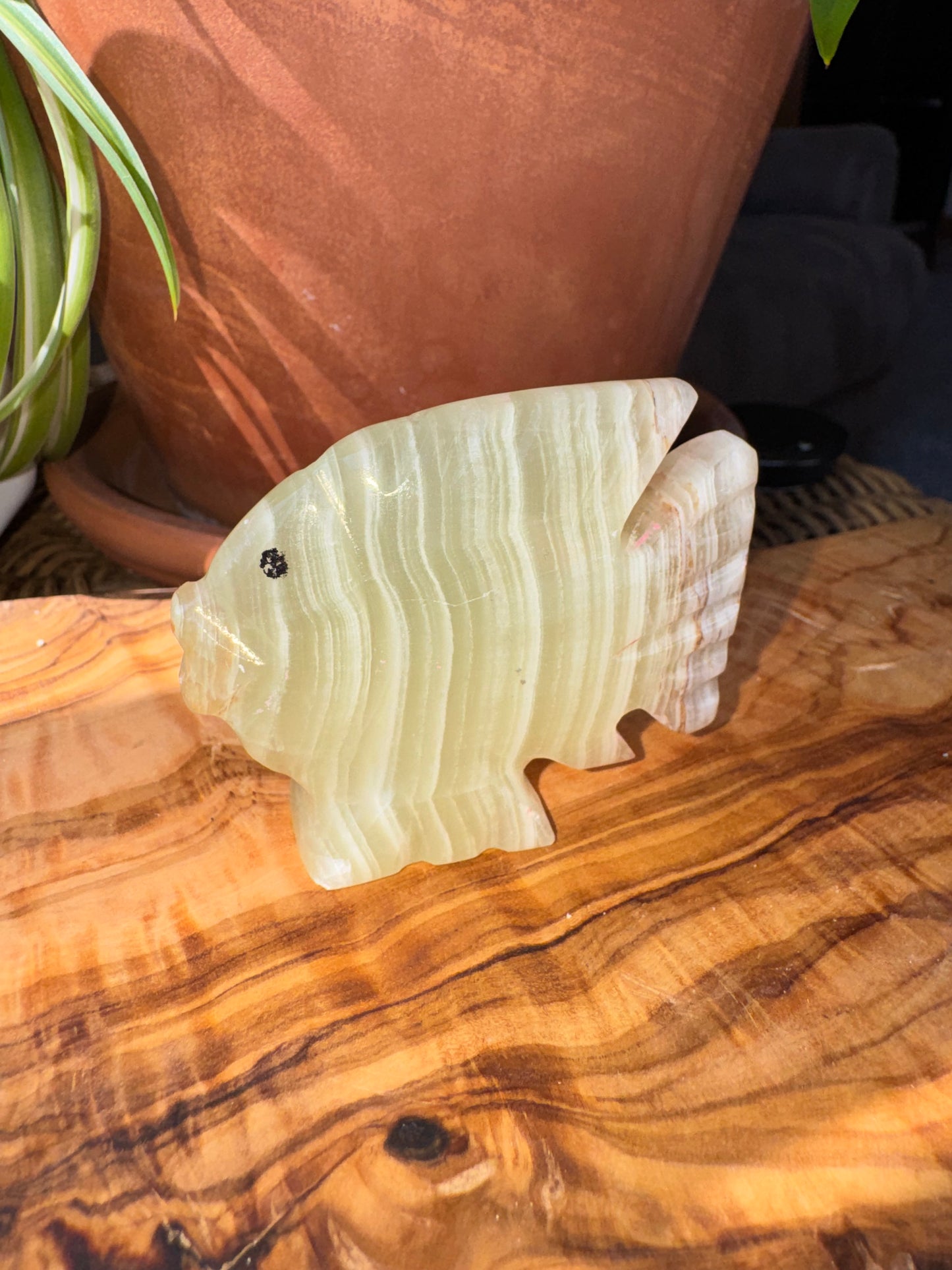 Banded Calcite Angelfish Carving — One of a Kind