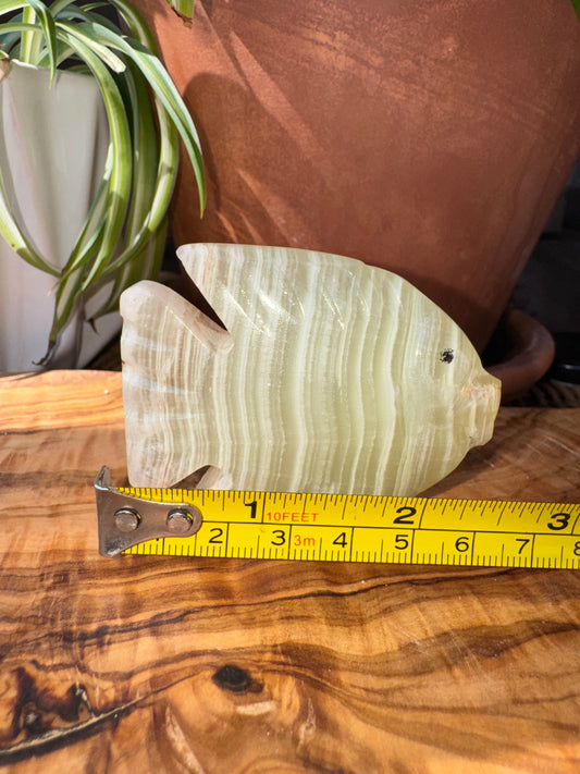 Banded Calcite Angelfish Carving — One of a Kind
