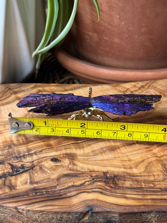 Aura Kyanite Dragonfly — One of a Kind