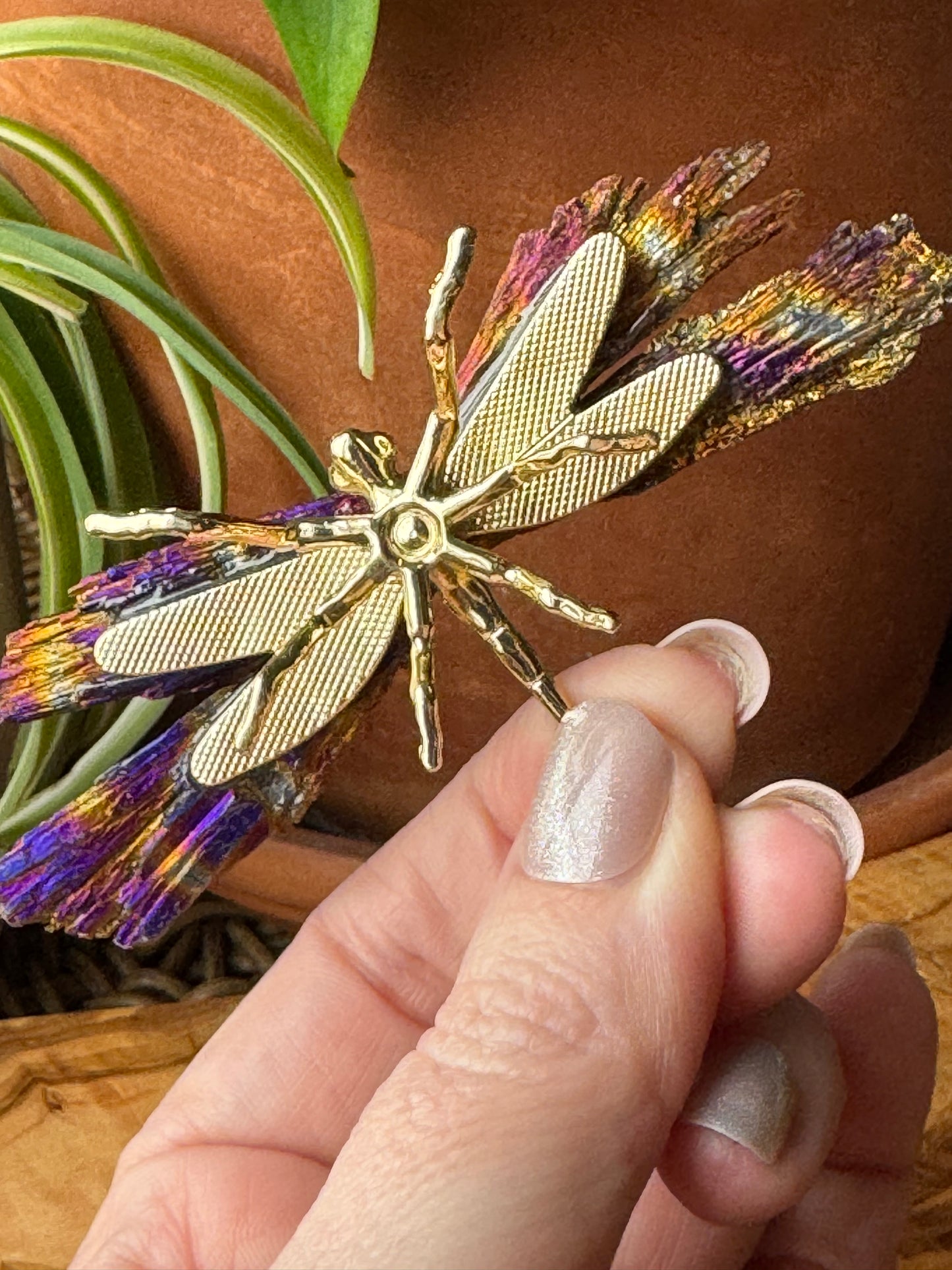 Aura Kyanite Dragonfly — One of a Kind