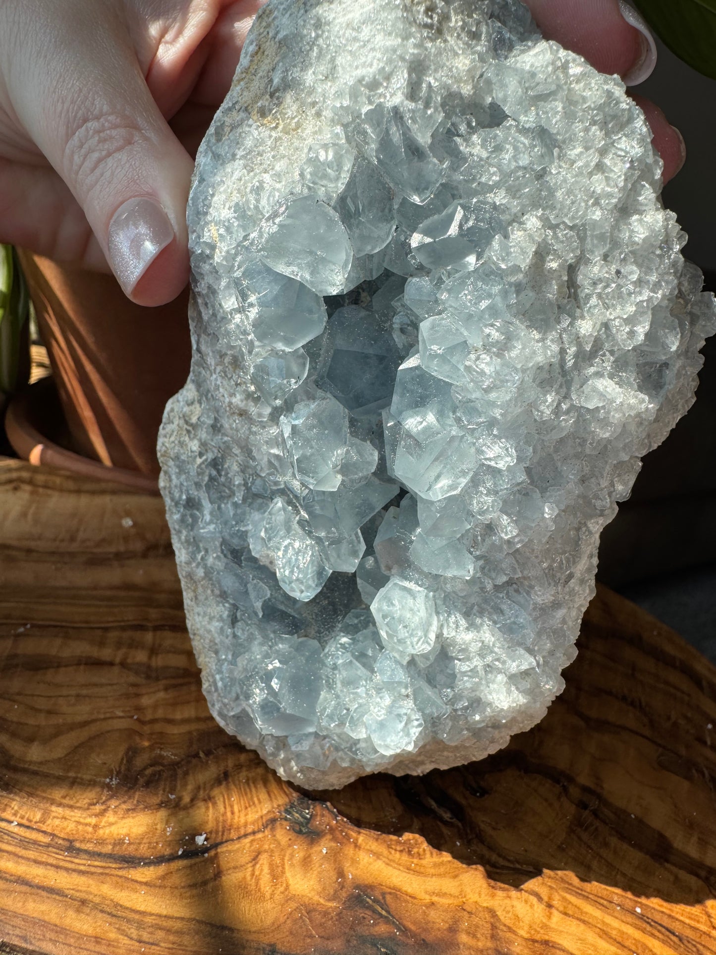 Celestite Cluster — Large, One of a Kind
