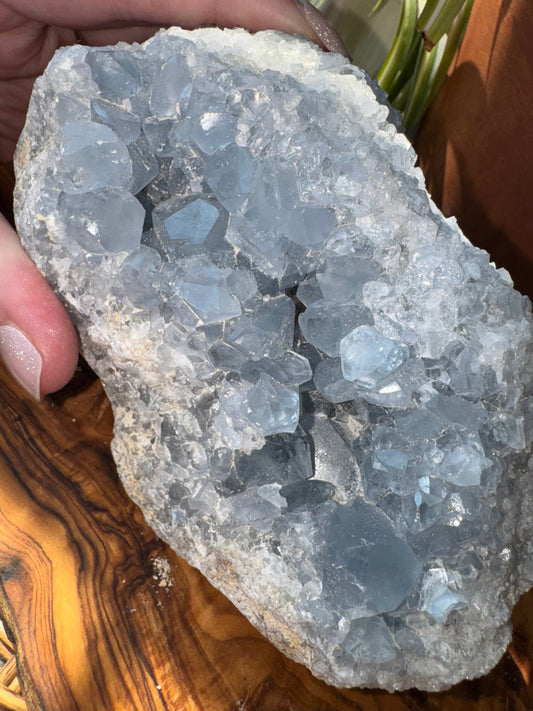 Celestite Cluster — Large, One of a Kind