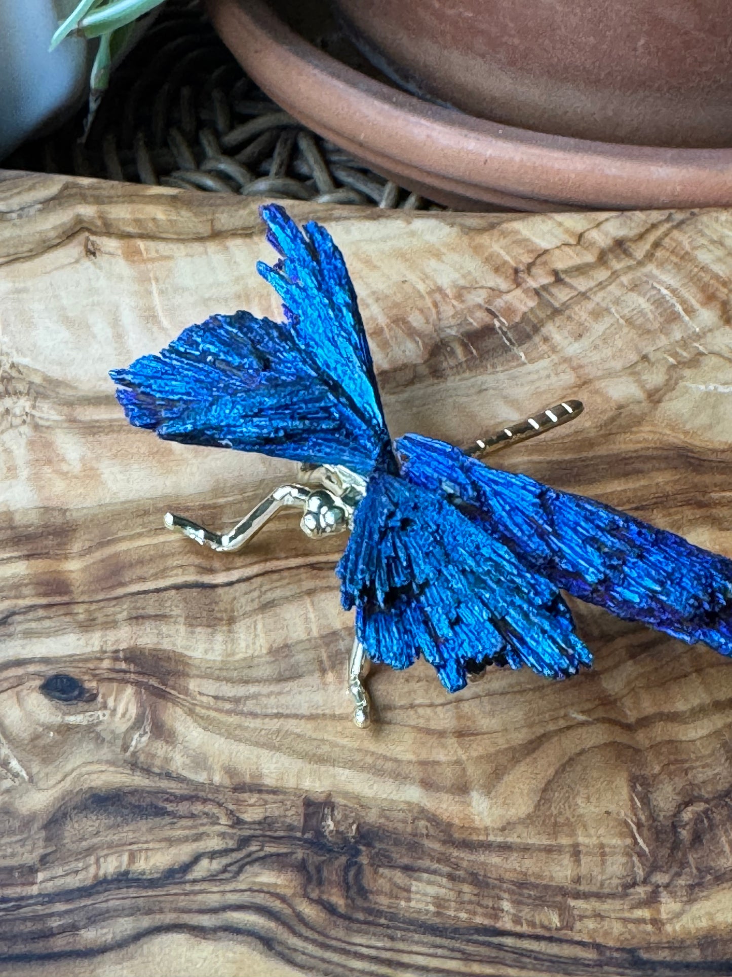 Aura Kyanite Dragonfly — One of a Kind