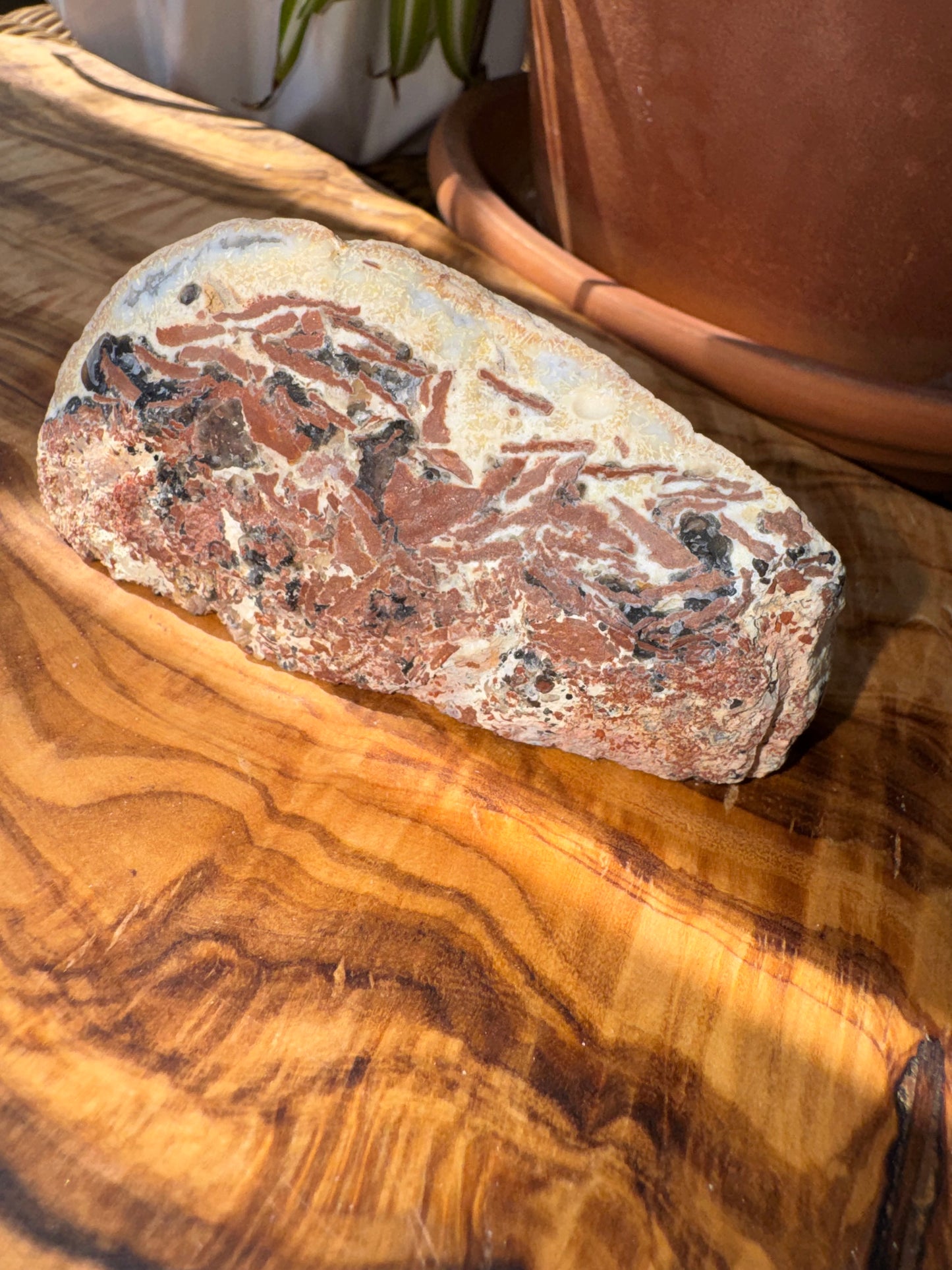 Brazilian Agate Geode Half — One of a Kind