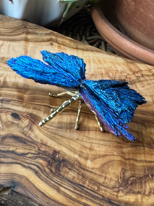 Aura Kyanite Dragonfly — One of a Kind