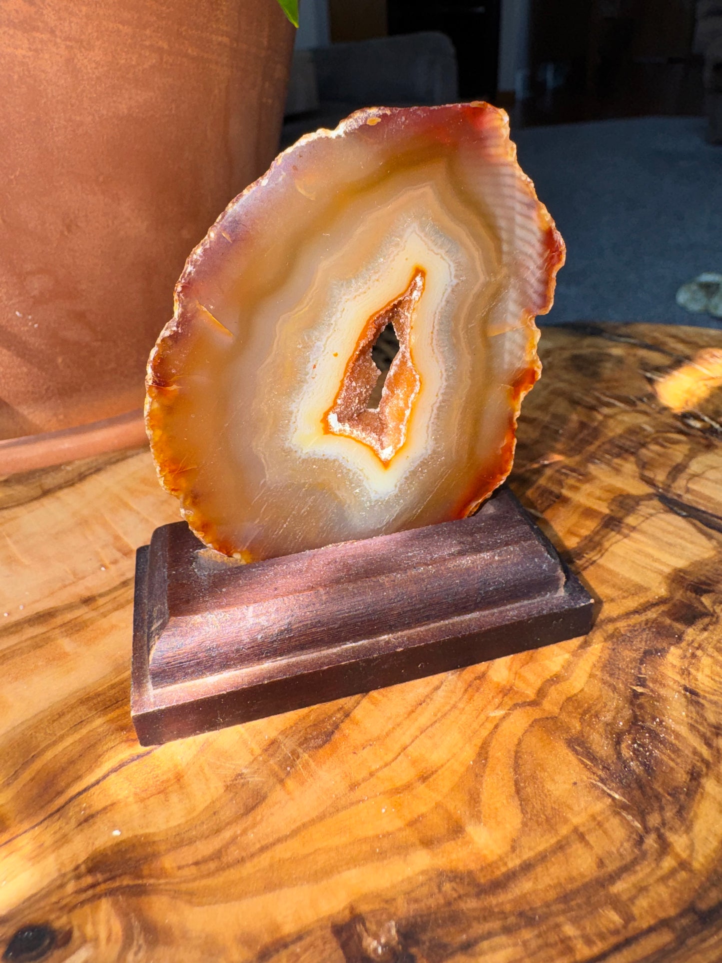 Carnelian Agate Slice — Natural Eye, Wood Stand, One of a Kind