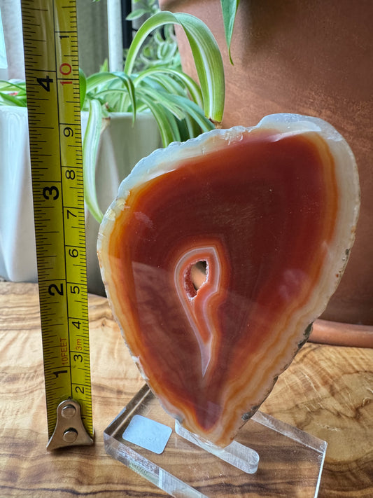 Carnelian Agate Slice — Natural Eye, One of a Kind