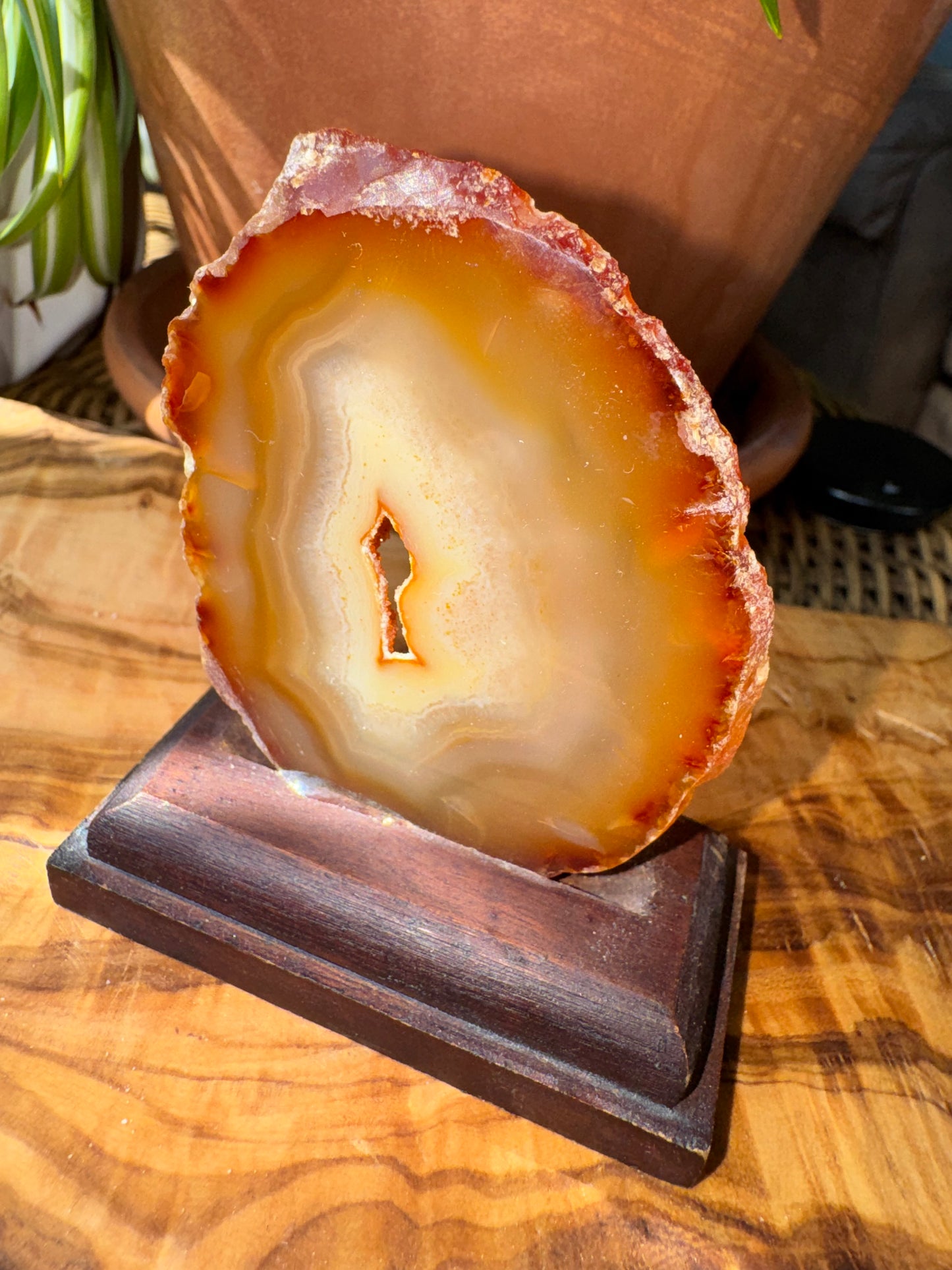Carnelian Agate Slice — Natural Eye, Wood Stand, One of a Kind