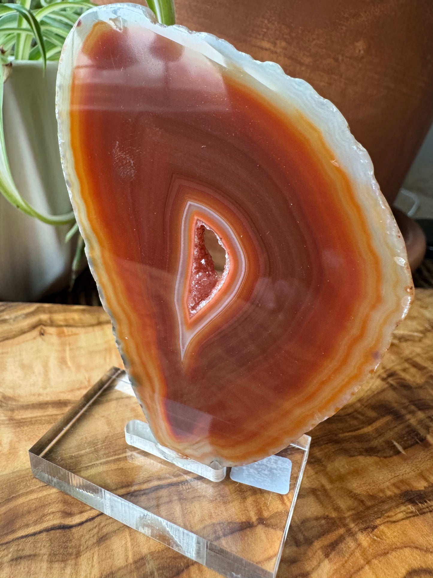 Carnelian Agate Slice — Natural Eye, One of a Kind