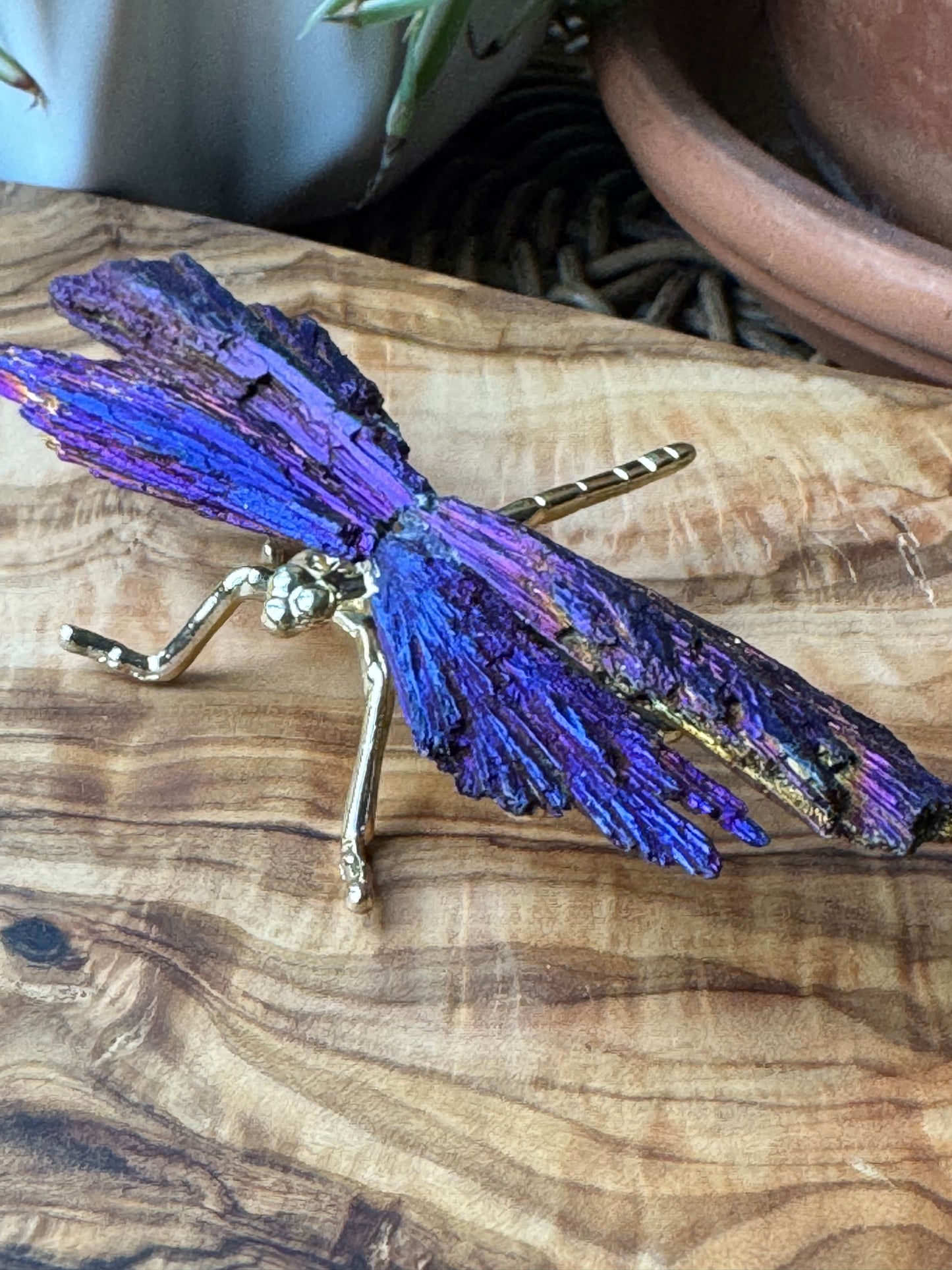 Aura Kyanite Dragonfly — One of a Kind