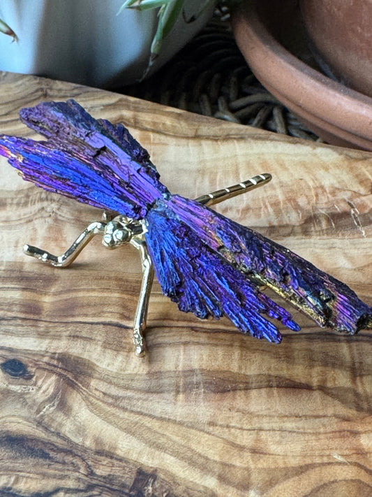 Aura Kyanite Dragonfly — One of a Kind