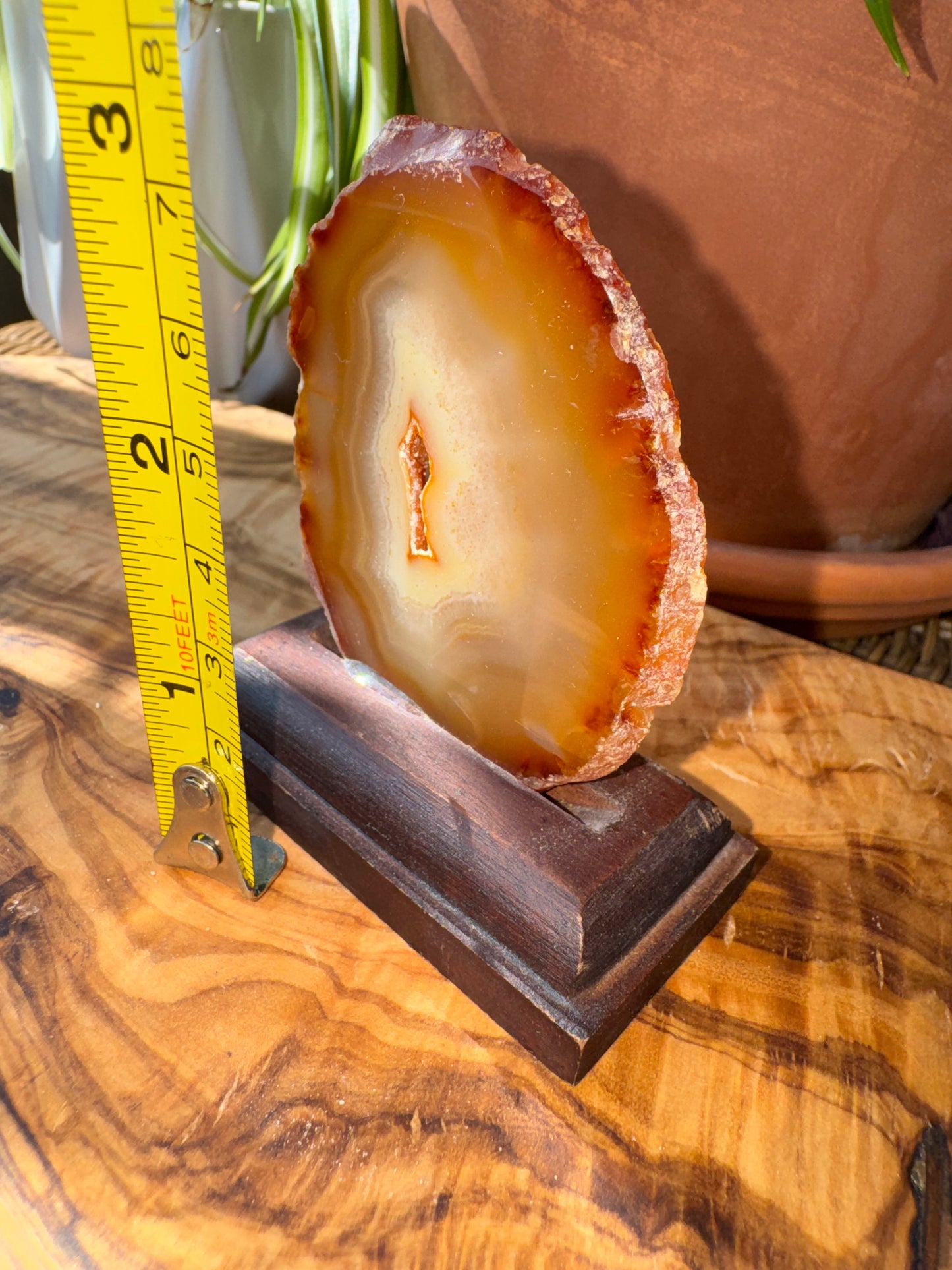 Carnelian Agate Slice — Natural Eye, Wood Stand, One of a Kind