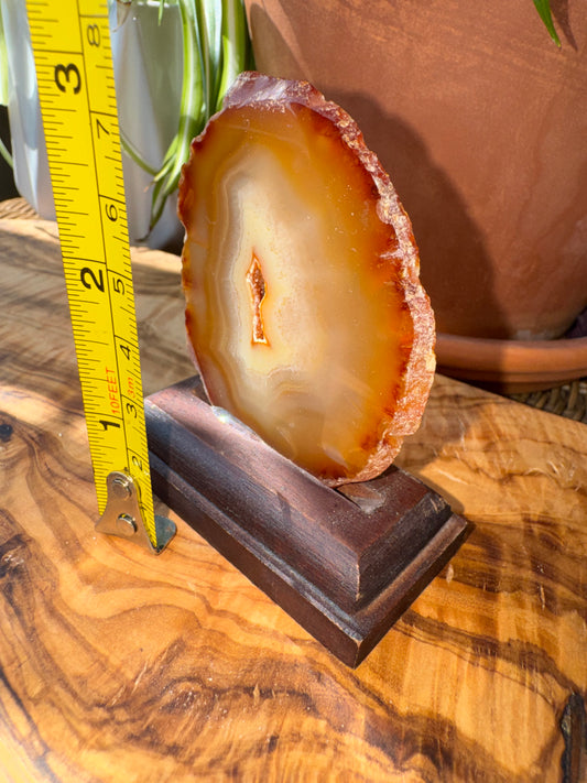 Carnelian Agate Slice — Natural Eye, Wood Stand, One of a Kind