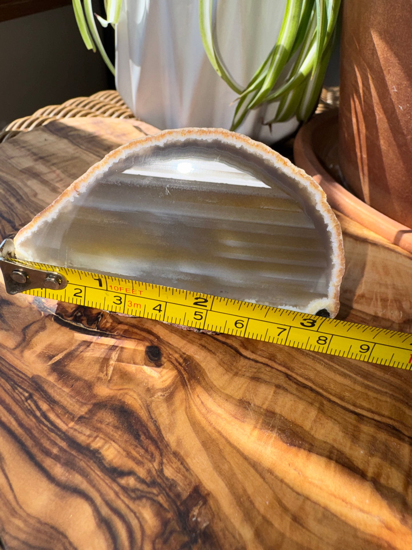 Brazilian Agate Geode Half — One of a Kind