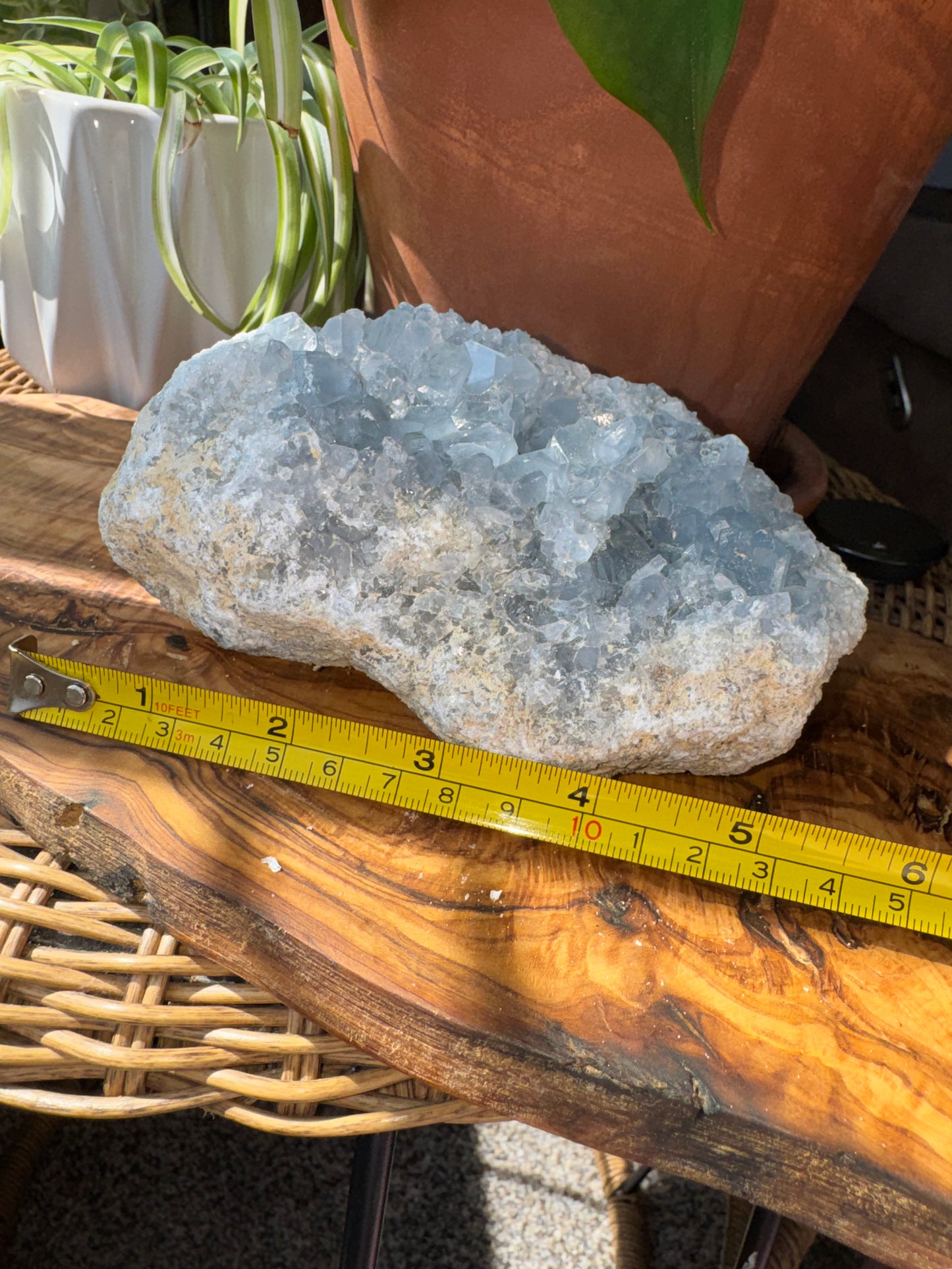 Celestite Cluster — Large, One of a Kind