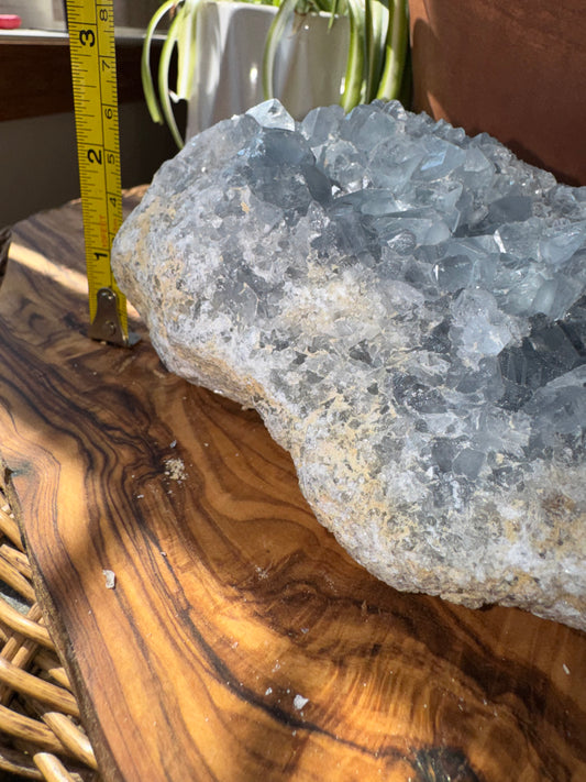 Celestite Cluster — Large, One of a Kind