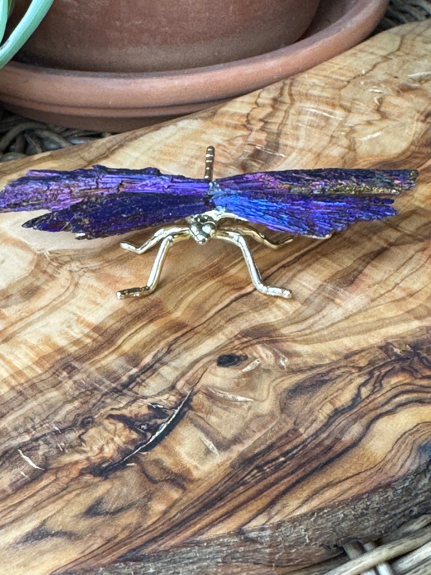 Aura Kyanite Dragonfly — One of a Kind