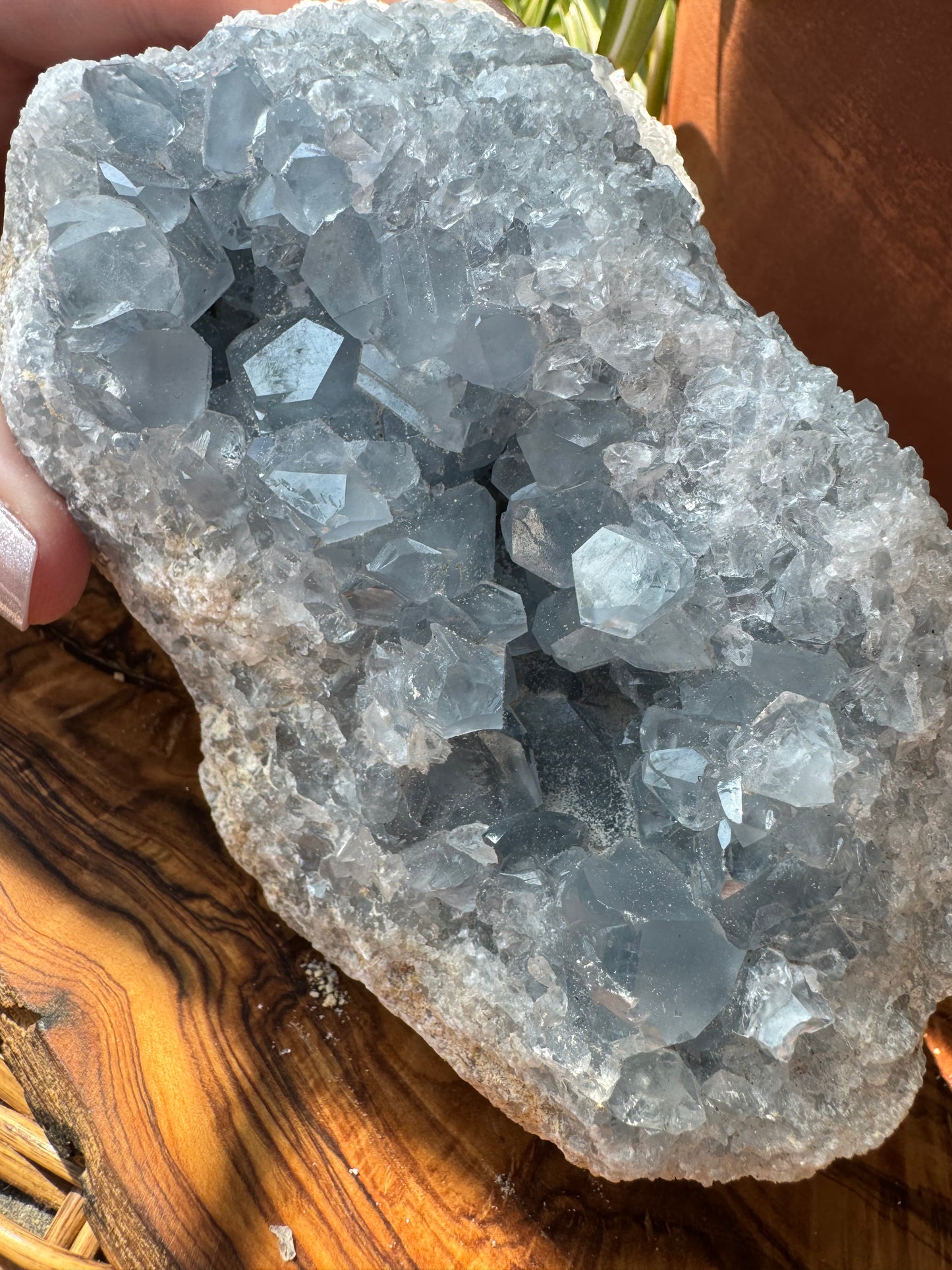 Celestite Cluster — Large, One of a Kind