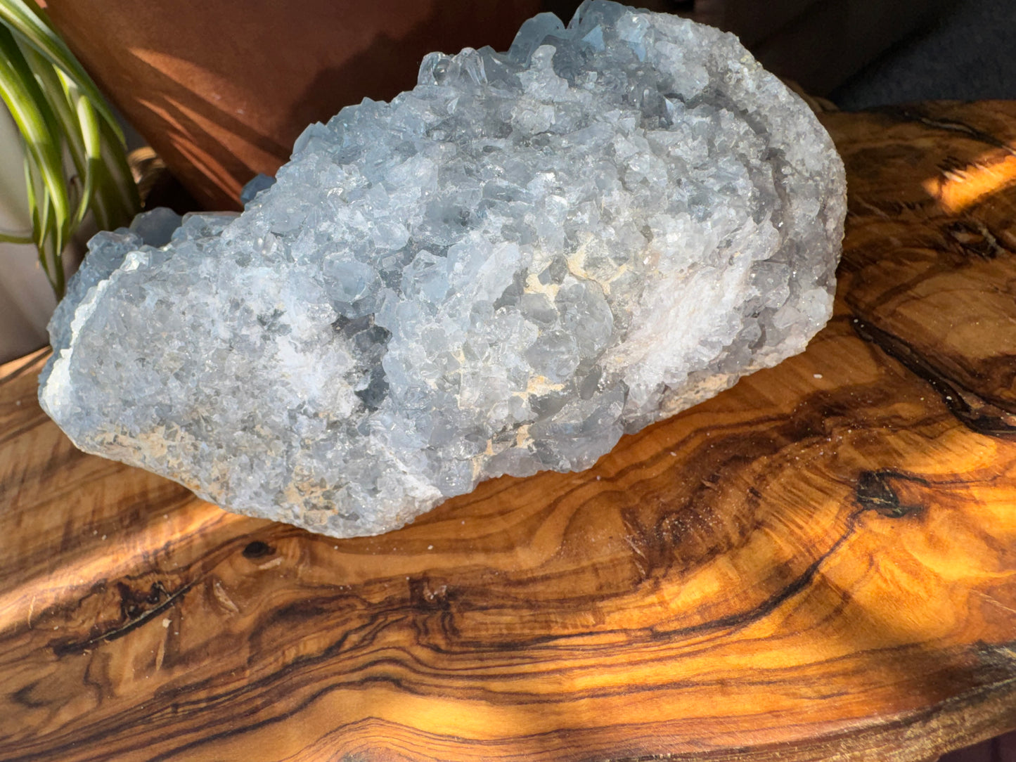 Celestite Cluster — Large, One of a Kind