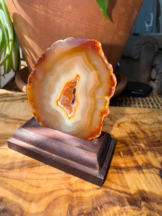 Carnelian Agate Slice — Natural Eye, Wood Stand, One of a Kind